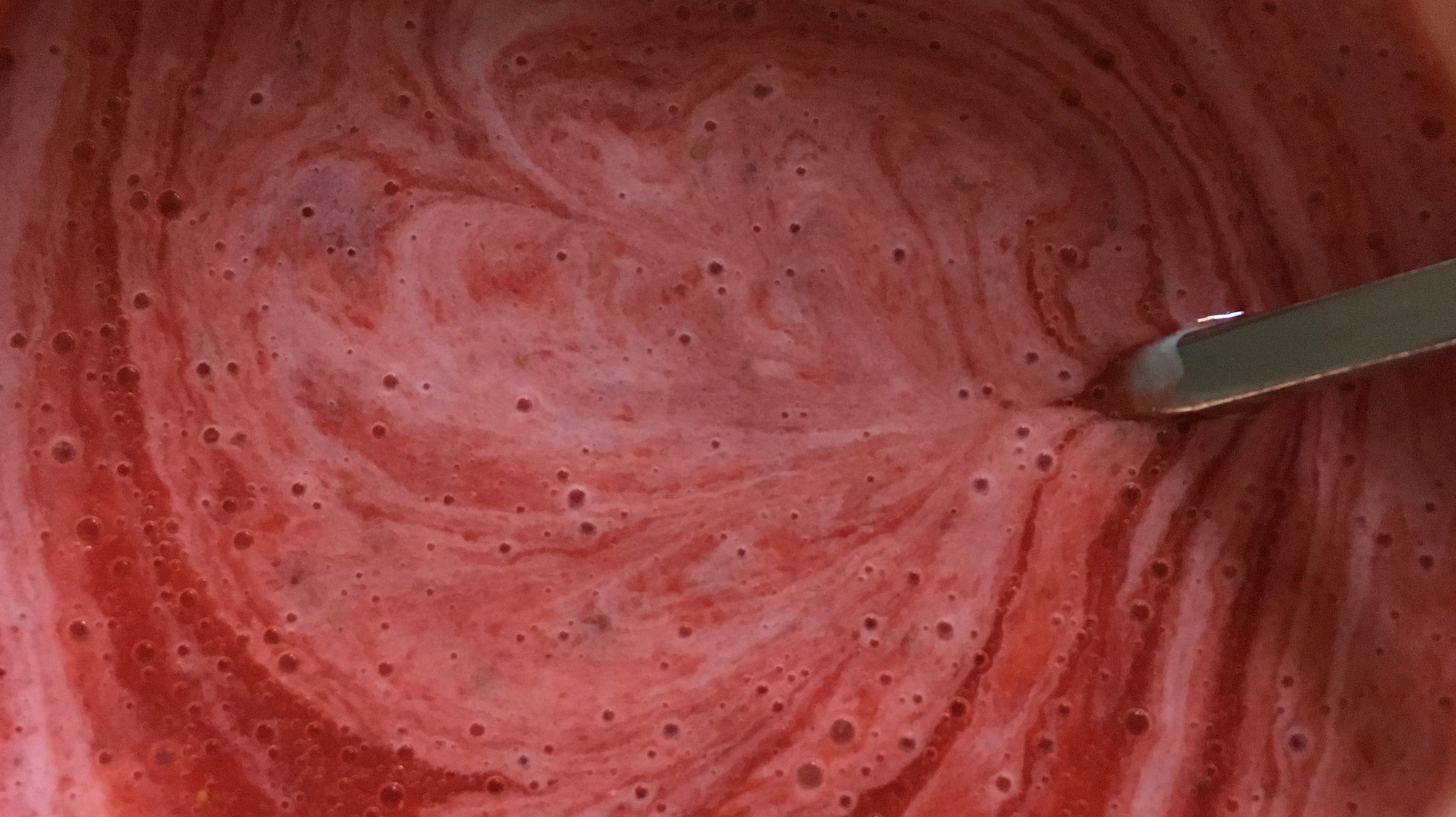 Früchte Yoghurt mit dem KSM-800 zubereiten | KeMar GmbH | Kitchenware | Haushaltsgeräte