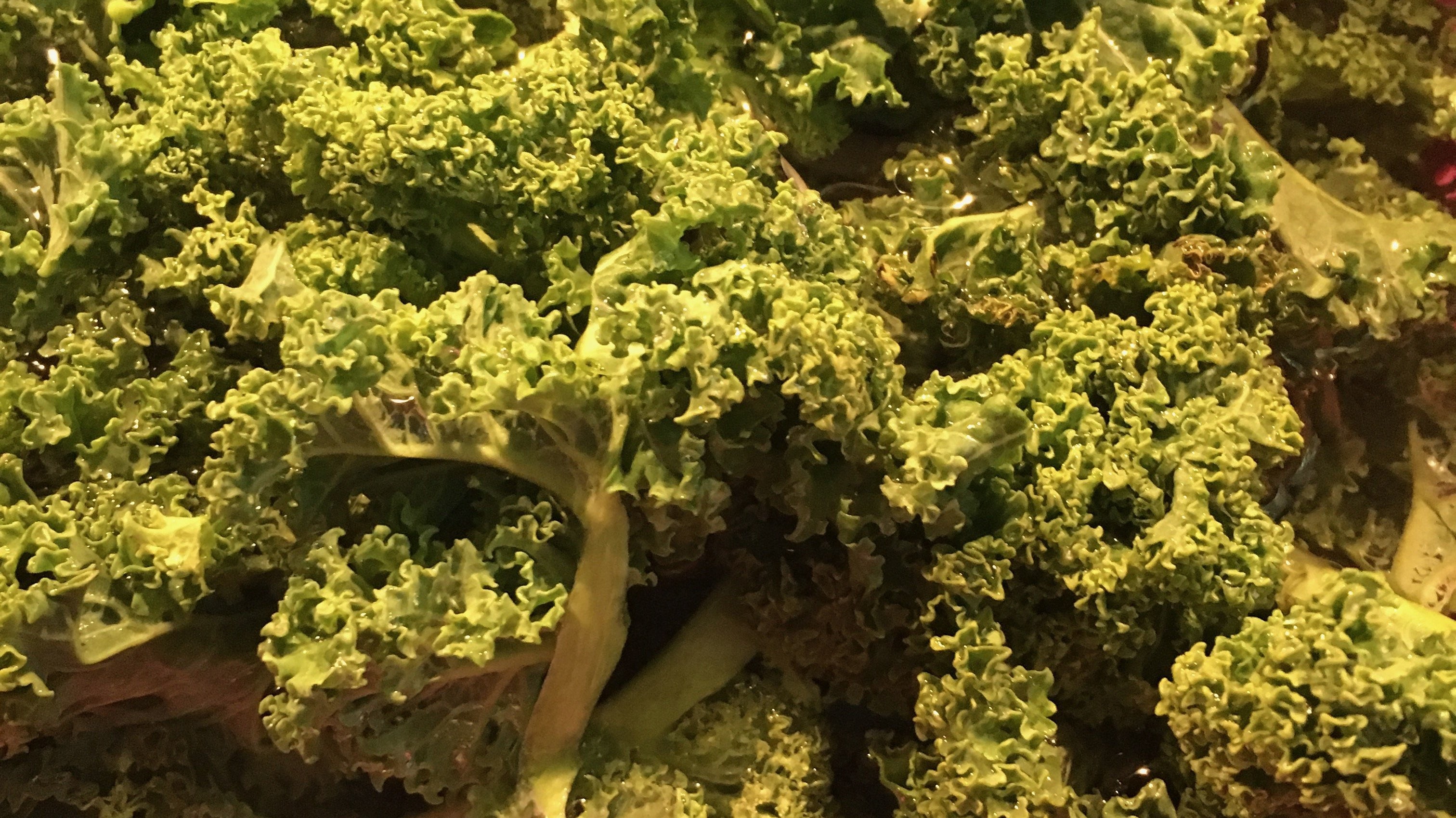 Grünkohl im Schnellkocher | KeMar GmbH | Kitchenware | Haushaltsgeräte