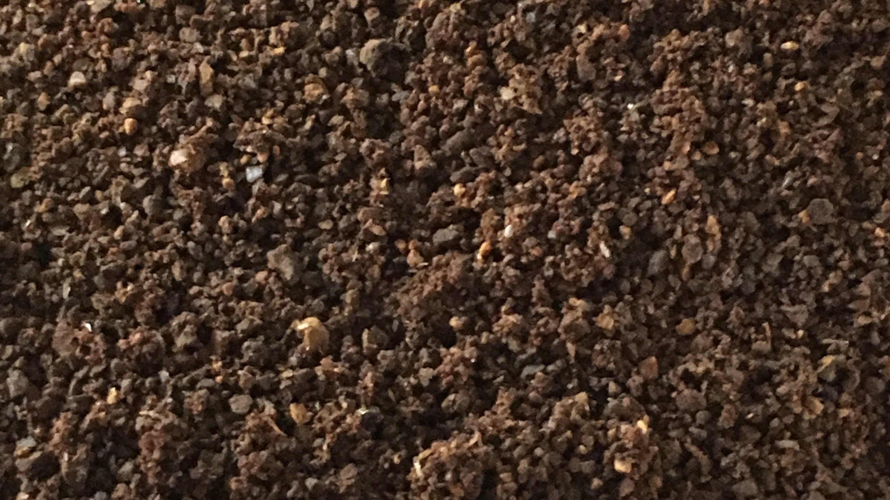 Kaffeebohnen im KSB-200 mahlen | KeMar GmbH | Kitchenware | Haushaltsgeräte