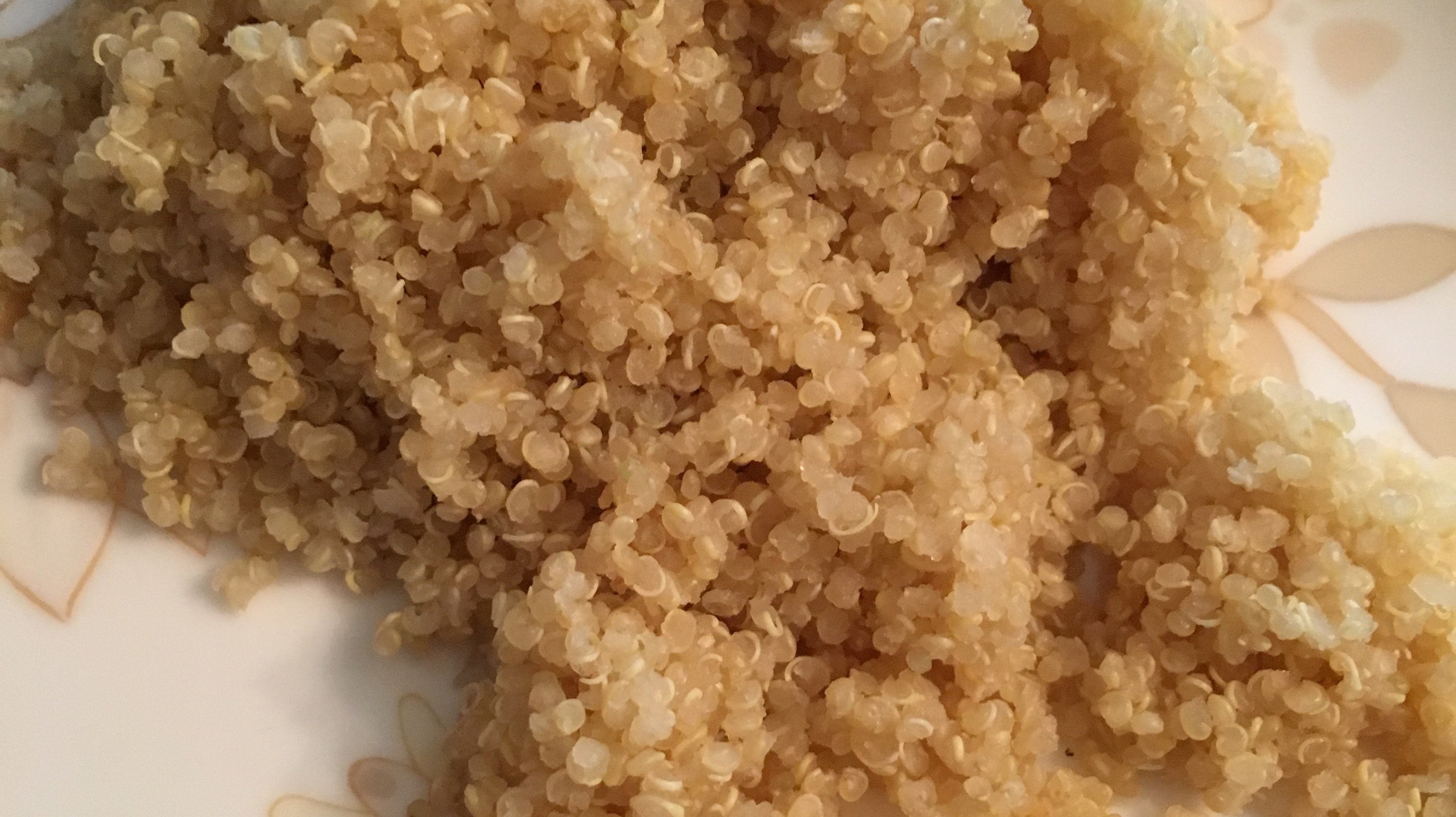 Quinoa zubereiten im Multikocher KIC-180 | KeMar GmbH | Kitchenware | Haushaltsgeräte