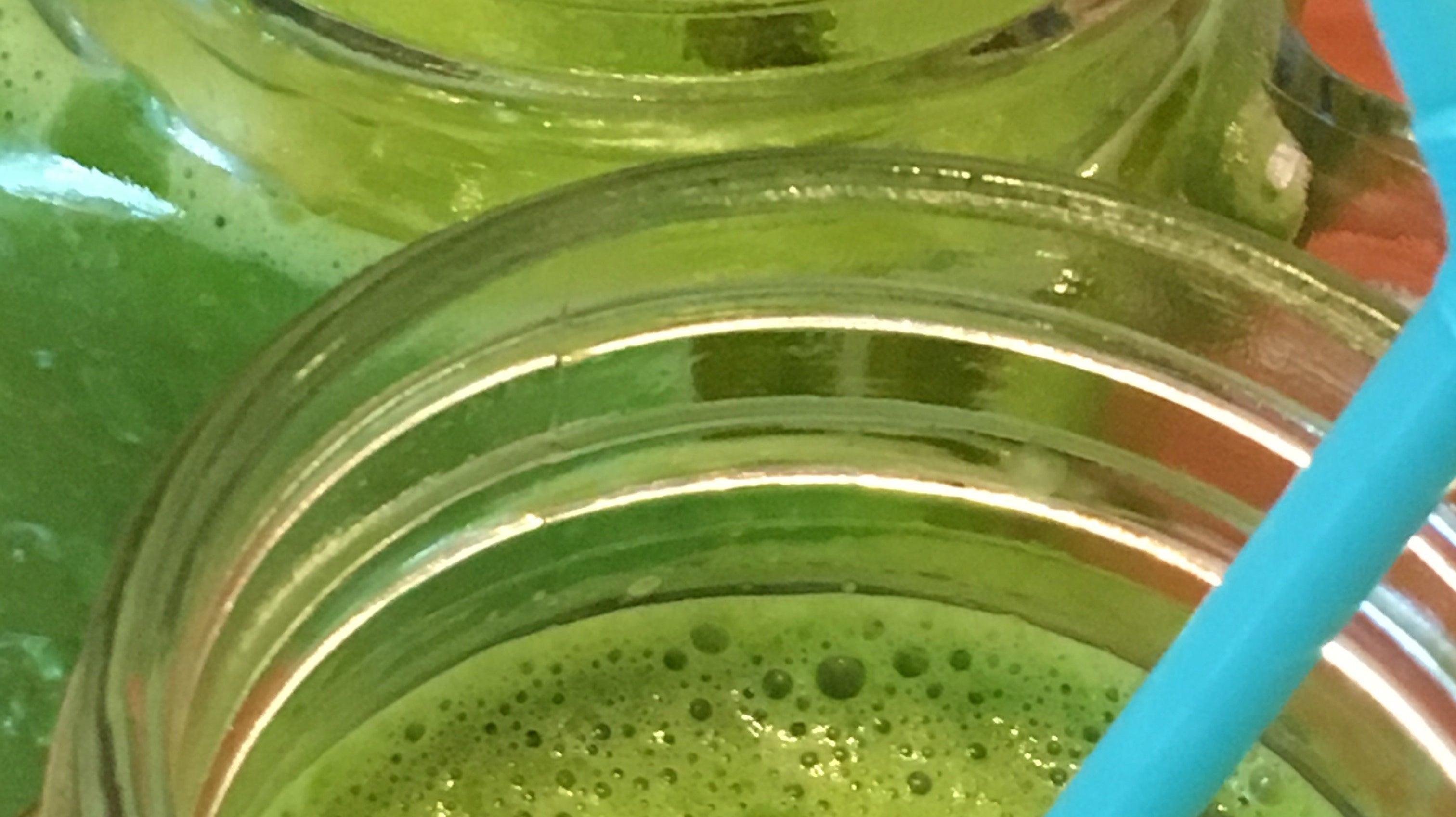 Spinat Avocado Bananen Smoothie im KSB-200 | KeMar GmbH | Kitchenware | Haushaltsgeräte