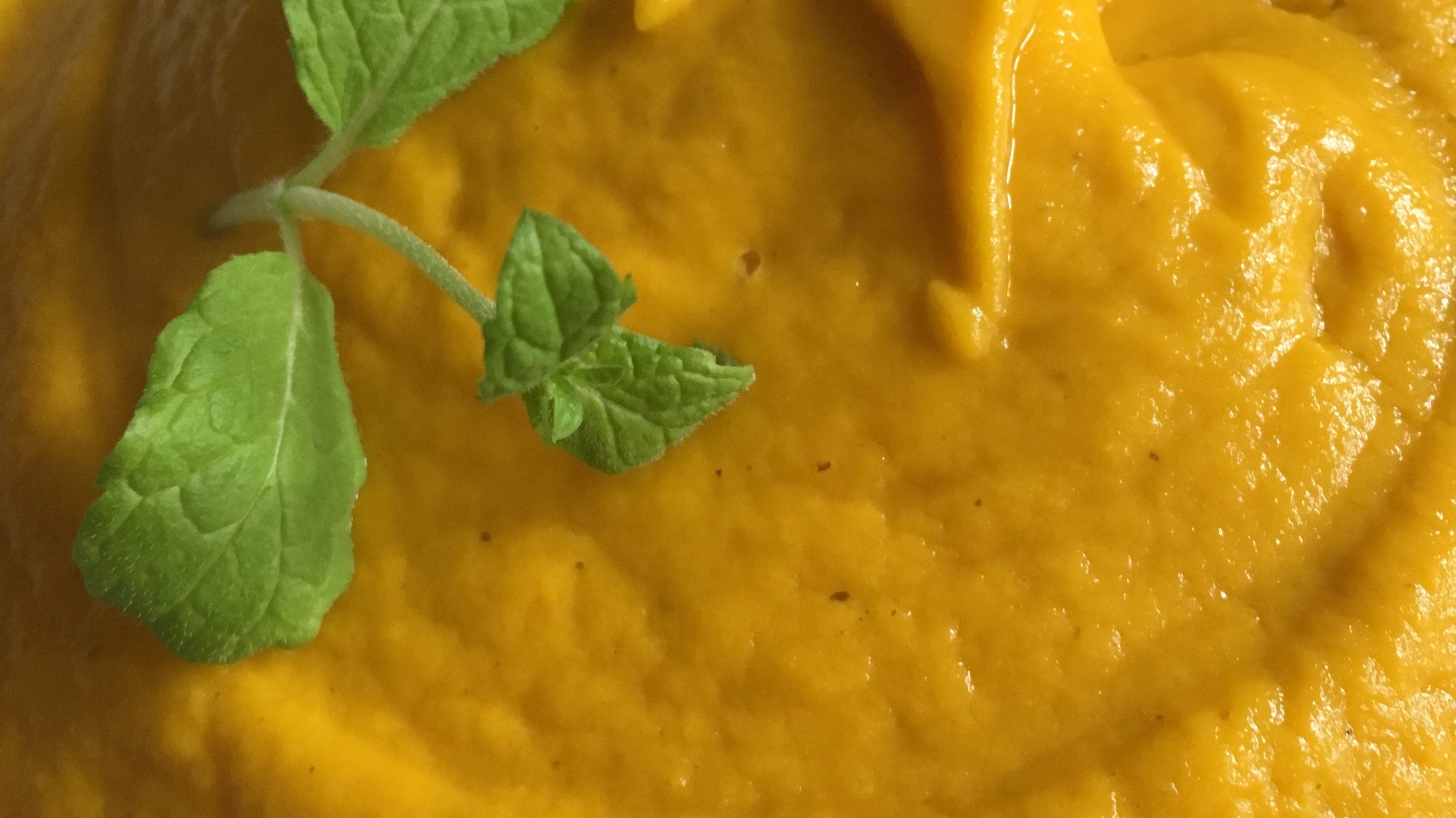 Süßkartoffelbrei mit Möhren und Kokosmilch im Multikocher KIC-180 | KeMar GmbH | Kitchenware | Haushaltsgeräte