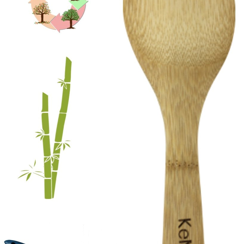 Löffel | Reislöffel aus Bambus 19 cm nicht lackiert naturbelassen - KeMar GmbH | Kitchenware | Haushaltsgeräte