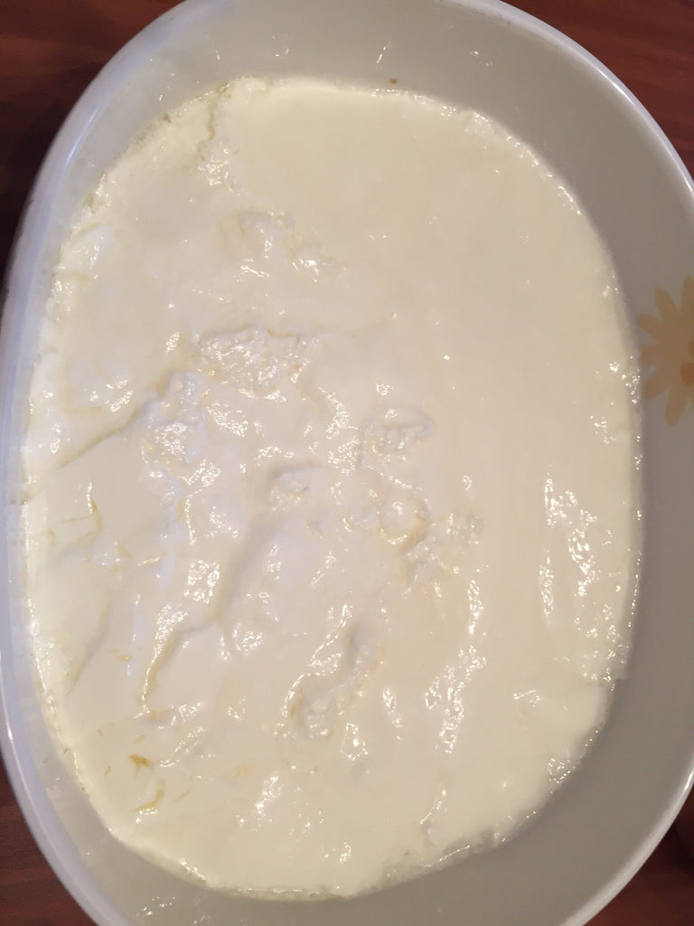 Joghurt selber herstellen im Schnellkocher KPC-150 | KeMar GmbH | Kitchenware | Haushaltsgeräte